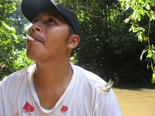 Ruber_Mapacho_Butterfly